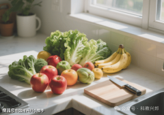 处置食物平安办理工做的从业人员；食以安为先